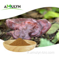 Lingzhi Ganoderma Lucidum Extrait de poudre de champignon reishi